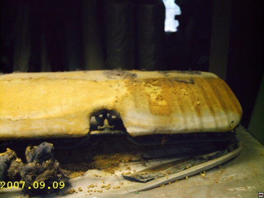 img00016.jpg